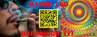 спайс Кандалакша