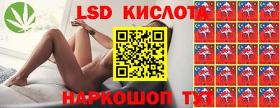 спиды Камышлов