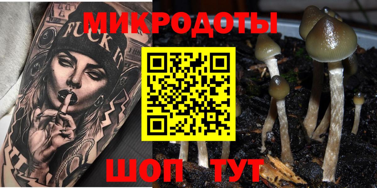 Псилоцибиновые грибы Psilocybine cubensis Котлас