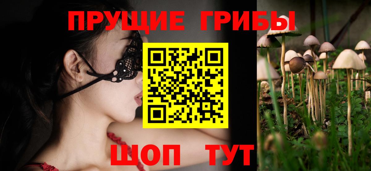 Псилоцибиновые грибы Cubensis  Вход с VPN  Галлюциногенные грибы Psilocybe  Котлас 